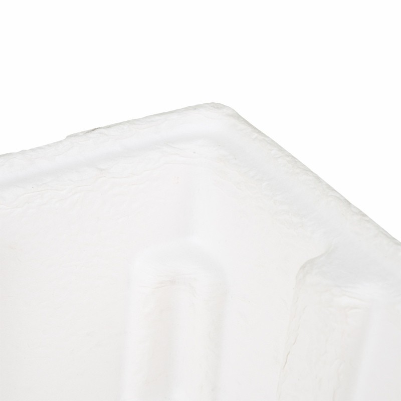 Dry Pressed Pulp Tray Dry Pressed Pulp Tray